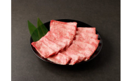 【伊万里牛】 訳あり 霜降切り落とし すき焼き しゃぶしゃぶ 800g（400g×２パック）小分けパック J1317